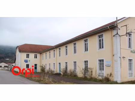 vente locaux professionnels à saulxures-sur-moselotte (88290)  255 000 €