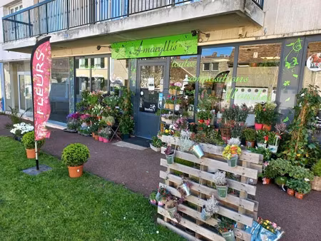 vente locaux professionnels à mamers (72600)  86 400 €