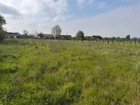 vente terrain à godewaersvelde (59270)  181 000 €