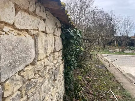 vente terrain à bourgneuf (17220)  250 000 €