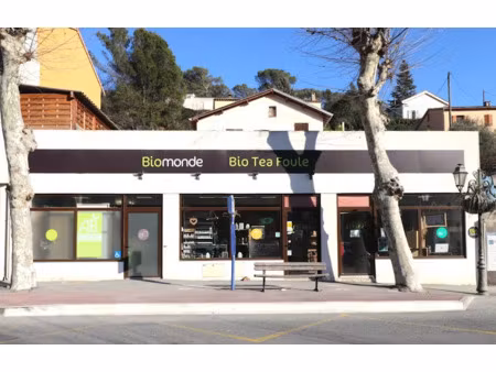 vente locaux professionnels à blausasc (06440)  199 000 €