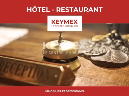 vente locaux professionnels à saint-brevin-les-pins (44250)  246 600 €