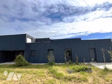 vente locaux professionnels à saint-antoine-du-rocher (37360)  255 000 €