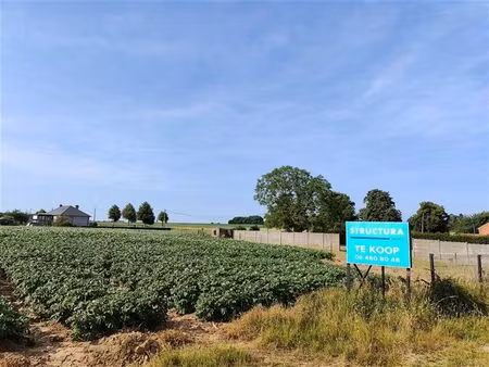 terrain à bâtir pour construction ouverte entouré de verdure