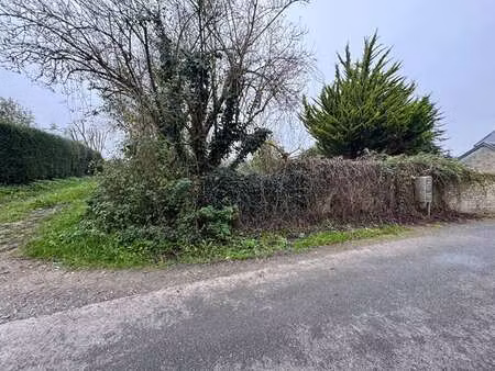 vente terrain à vaux-sur-seulles (14400) : à vendre / 21000m² vaux-sur-seulles