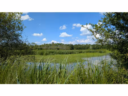 terrain à vendre à izon (33450) - gironde