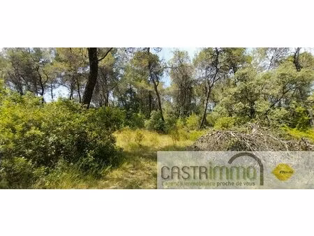 terrain boisé – forêt