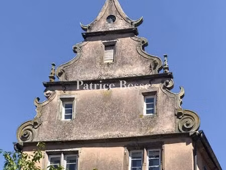 en alsace  dans un bourg avec commerces et services  un emblématique monument historique..