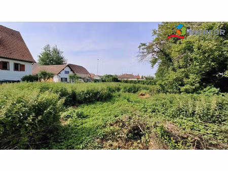 terrain constructible rue bolzen kolbsheim