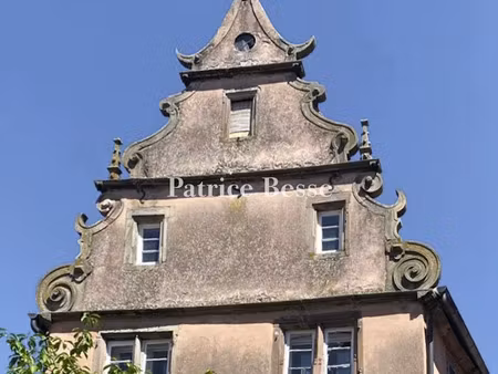 vente maison 15 pièces 300 m² à strasbourg (67000)  120 000 €