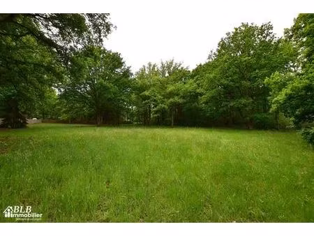 terrain de 5348 m2 en vente - grosrouvre  france