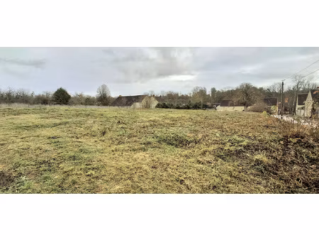 achat terrain 1 189m² laduz 89110