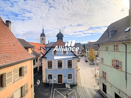 achat appartement 5 pièces 72m² delle 90100