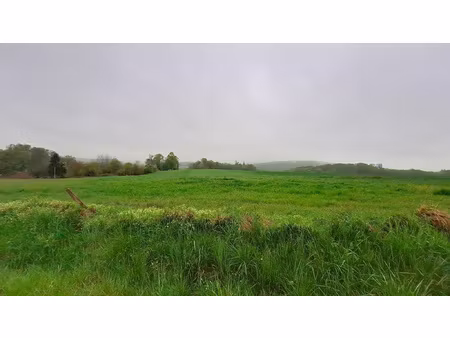 achat terrain 3 000m² courcelles 90100