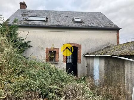 vente maison 3 pièces 66 m² henrichemont (18250)