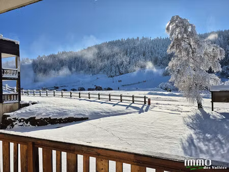 appartement - au pied des pistes de ski