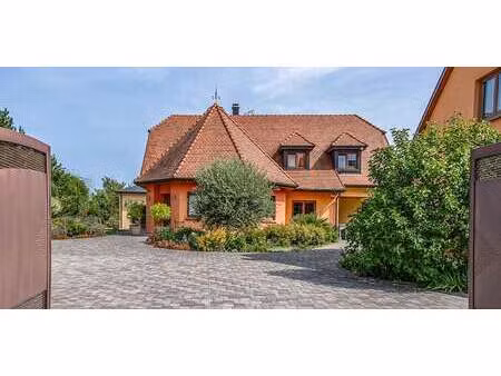 maison avec piscine et terrasse mackenheim (67)