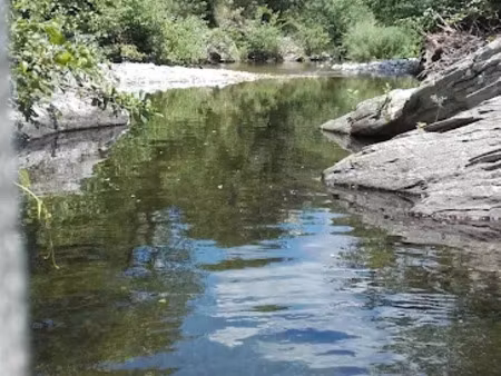 vente maison 7 pièces 233 m² à ribaute-les-tavernes (30720)  530 000 €