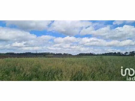 vente terrain à saint-jacut-les-pins (56220) : à vendre / 2047m² saint-jacut-les-pins