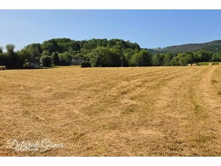 terrain à vendre de 1 730 00 m² barry (65)