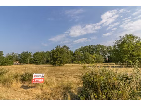 vente terrain 3596 m² à la ferté-imbault (41300)  31 990 €