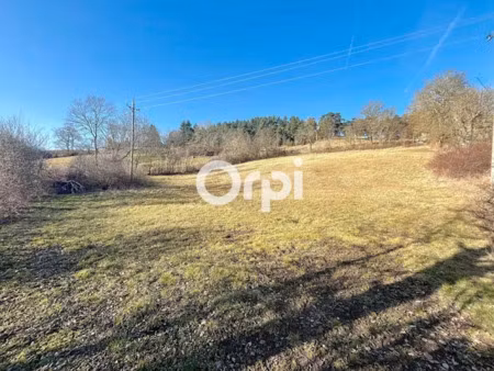 vente terrain à batir 4496 m² à saint-flour (15100)  110 000 €