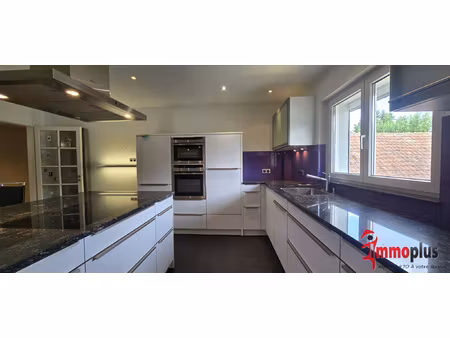 spacieux appartement de 208 m2 à illfurth avec une grande t