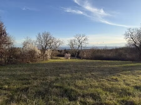 terrain constructible