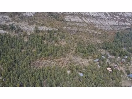 terrain de 12000 m2 - caille  france