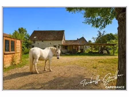 vente maison 8 pièces 118 m² touchay (18160)