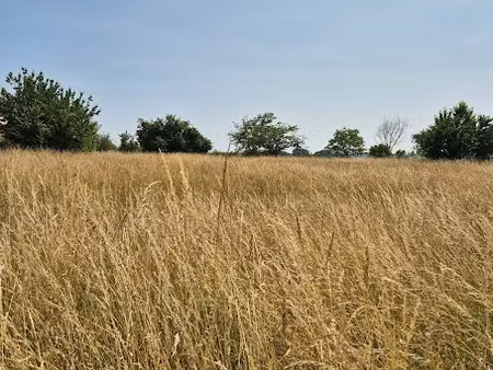 vente terrain 1715 m² à champniers (16430)  89 000 €