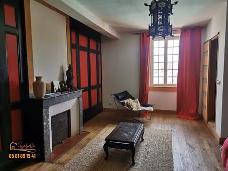 propriété avec vue sur les pyrénées : 2 belles maisons  piscine  jacuzzi  salle de sport; 