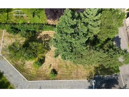 terrain dommartin m² t- à vendre  362 000 €