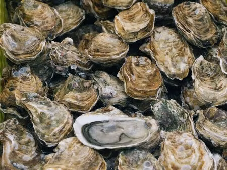 restaurant à bouzigues