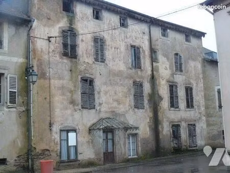 immeuble 480 m² bains les bains