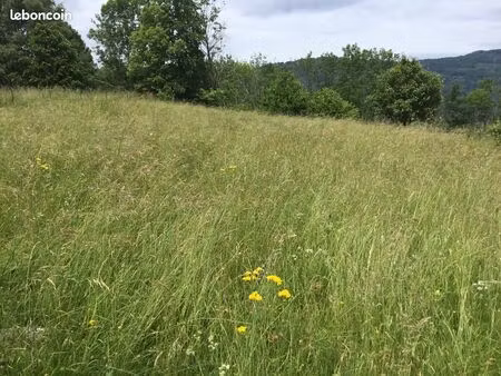 terrain constructible