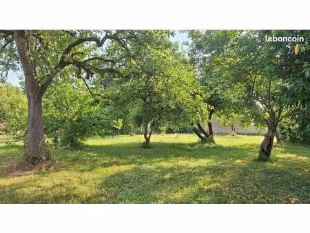 terrain constructible