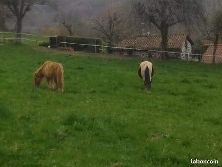 terrain constructible