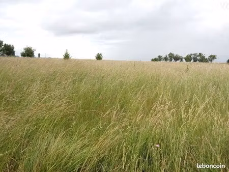 terrain 1274 m² thenay