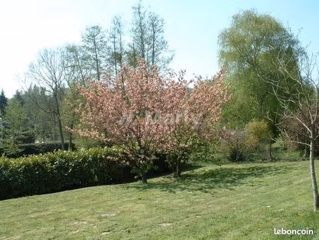 terrain 2500 m² gif-sur-yvette