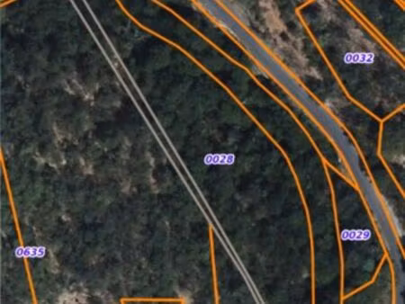 terrain forêt guarigue bois