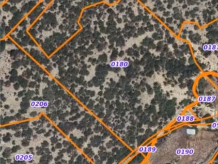 terrain forêt guarigue bois