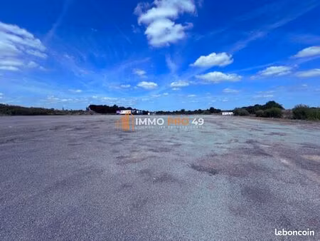 terrain 24391 m² chemillé-en-anjou