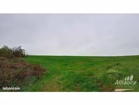 terrain 2400 m² courcelles