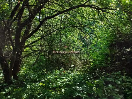 terrain constructible 1358 m2 à 10 kms de vire normandie complétement arboré.