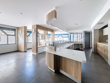 vente locaux professionnels 8 pièces 261 m² à thonon-les-bains (74200)  599 000 €
