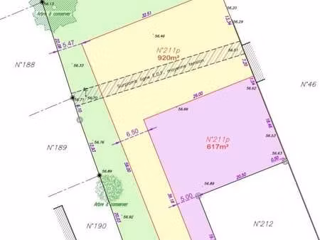 vente terrain à sainte-foy (85150) : à vendre / sainte-foy