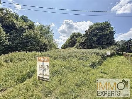 beau terrain à bâtir dans la vallée du samson