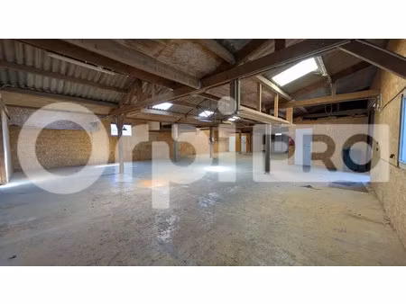 local d'activite a louer