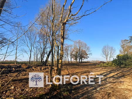 terrain à bâtir de 1293 m² à vendre à tesson - référence 4108